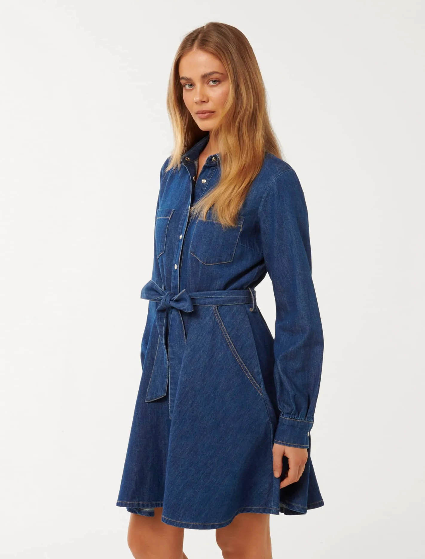 Colette Denim Shirt Dress